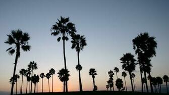 Los Angeles Wallpaper On