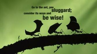 Proverbs Wallpaper