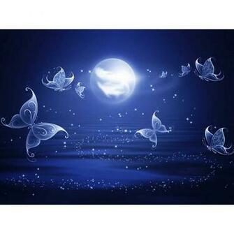 Diamond Mosaic Butterfly Moon Animal Picture Beads Full Drill