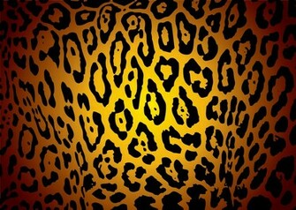Leopard Print Desktop Wallpaper HD Background