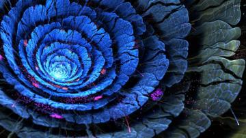 Vortex Flower Wallpaper 3d