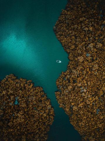 Marco Island United States Aerial Photography