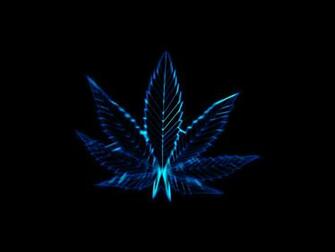 Pot Leaves Marijuana Drugs Wallpaper Background