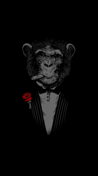 Monkey iPhone Wallpaper
