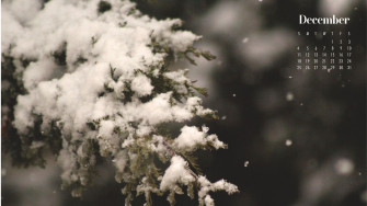 December Calendar Wallpaper Best Desktop Phone Background