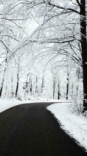 Snow iPhone Wallpaper 5s