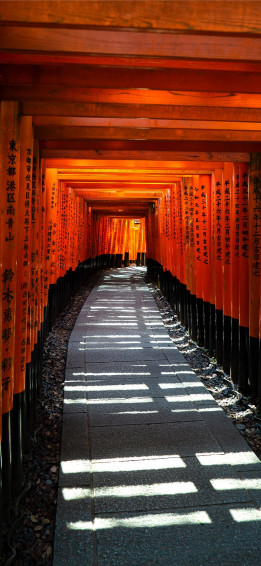 Fusihimi Inari Kyoto Japan iPhone Wallpaper
