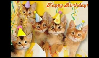 Funny BirtHDay Cat Desktop Wallpaper