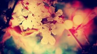 Wallpaper Vintage Flowers Nature