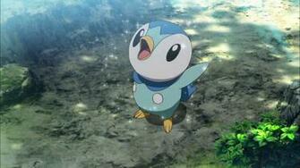Piplup Wallpaper