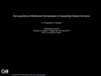 Non Equilibrium Membrane Homeostasis In Expanding Cellular Domains