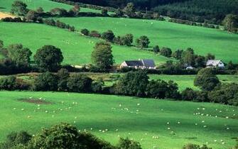 Cork Road Ireland Wallpaper iPhone Face HD Desktop