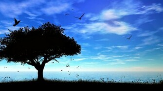 Nature Wallpaper HD