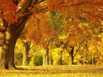 Tag Beautiful Autumn Scenery Wallpaper Background Photos Image