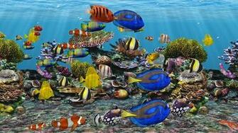 3d Aquarium Dvd Screensaver