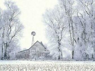 Amazing Winter Snow Photography Gorgeous Scene Wallpaper