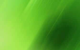 Green Gradient Lines Wallpaper