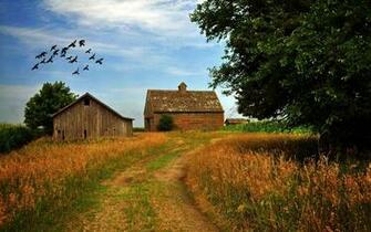 Farm Wallpaper