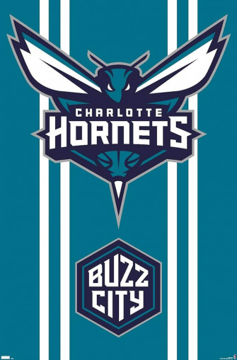 Amazon Trends International Nba Charlotte Hornets Logo