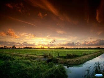 Nature Wallpaper Nice