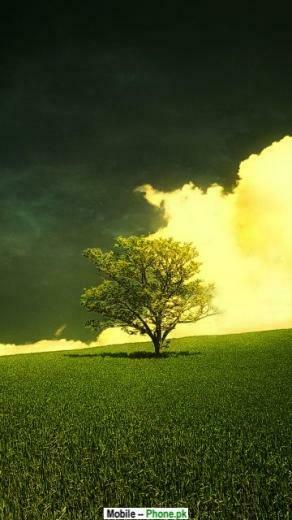 Beautiful Jpg