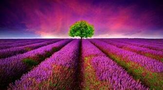 Beautiful Nature Wallpaper Collection Most Places In The