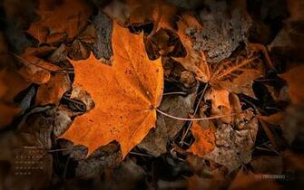 While Hurricane Sandy Is Rushing Through The North East Of Usa