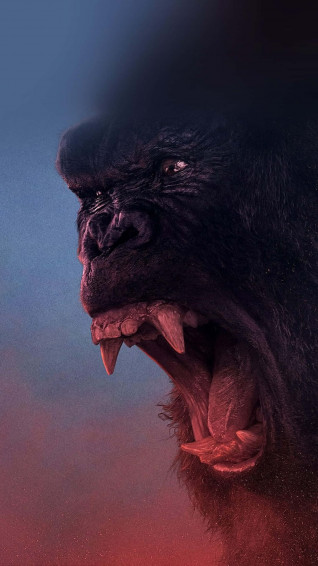 iPhone Xs Gorilla Background Crazy Mad Shouting Wallpaper