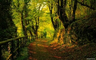 Nature Wallpaper HD Landscape