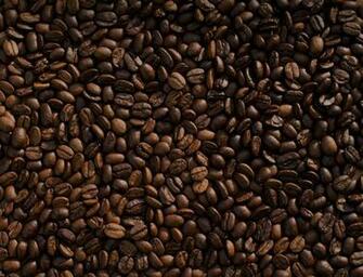 Coffee Bean Pictures Image