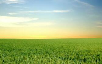 Green Horizon Wallpaper And Image Pictures Photos