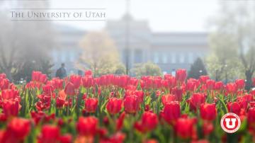 Spring Themed Zoom Background Theu