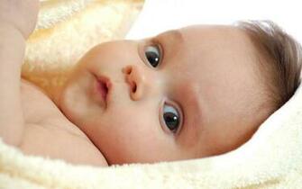 Cute Baby Boys HD Wallpaper Pictures