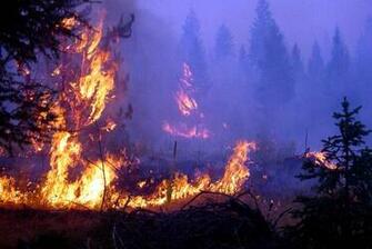 Wallpaper Photo For The Wildland Firefighter