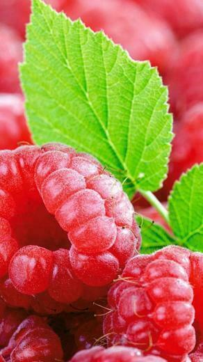 Fruit Lg G2 Wallpaper HD