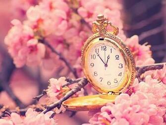 Wallpaper Happy Spring Sakura Blossoms