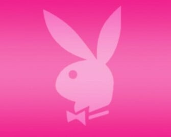 Pink Wallpaper Color