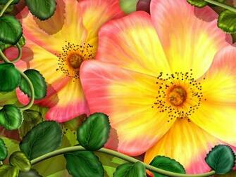 Exotic Flowers Wallpaper