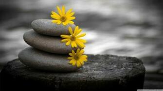 Stone HD Wallpaper Gallery Photos