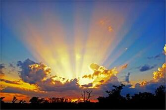 Donna L Martin S The Story Catcher Rays Of Sunshine