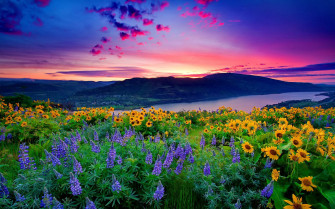 Wallpaper Natural Beauty Peaceful Scenery Calm