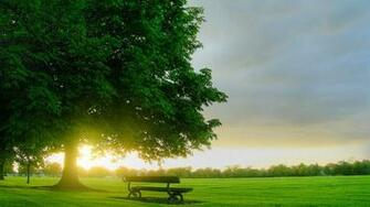 Spring Wallpaper HD