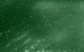 Wallpaper Solid Green Background HD Background Desktop