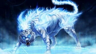 Maltese Tiger Mimivavanco HD Wallpaper Jootix