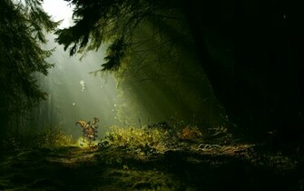 Full HD 1080p Wallpaper Desktop