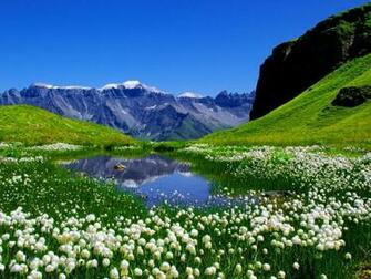 Beautiful Spring Computer Wallpaper