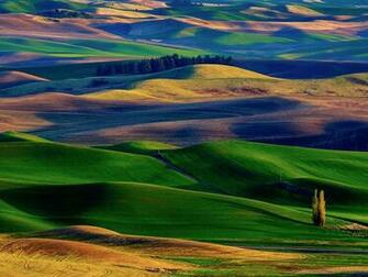 Wallpaper Nature Scenery