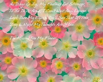 My Flower Wallpaper Pictures Photos And Background