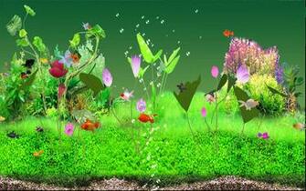 3d Aquarium Fish Screensavers