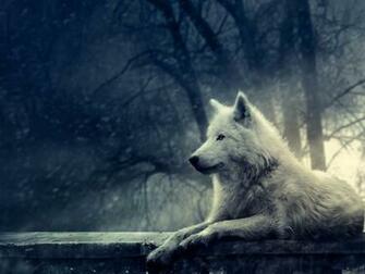 Night Of The Wolf Wallpaper Me